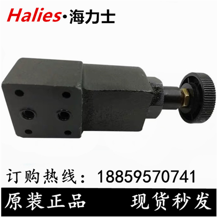 YUCKEN oil research DT-01-22 DG-01-22 remote control overflow valve tubular overflow valve pressure adjustment valve