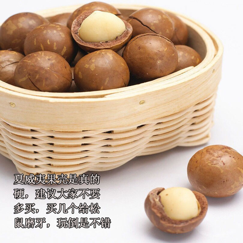 Jinhua Snow Demon King Squirrel Teething Toy Supplies Hard Nuts Snack Food Staple Food Macadamia Nut Open Back Shell - Taobao