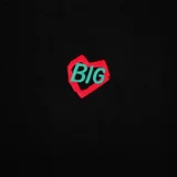 BIG FOR SAM Брендовая приятная телу демисезонная утепленный лонгслив, в американском стиле, оверсайз