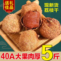 Fujian Putian lychee dried snacks new arrival 40A special large fruit 500g*5 sulfur-free farm specialty lychee meat