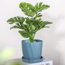 Xinjiang Modern Fashion Flower Pot Resin Imitation Ceramic Multimeat Green Plant Potted Gallon Holren Basin Special Price
