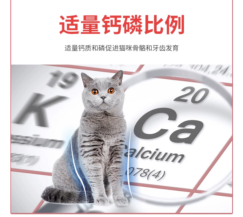 Thức ăn cho mèo Youqu cá chép biển sâu Thức ăn cho mèo vào thức ăn cho mèo Thức ăn cho mèo trẻ 1,5kg3 kg 26 tỉnh - Cat Staples minino 1.3 kg