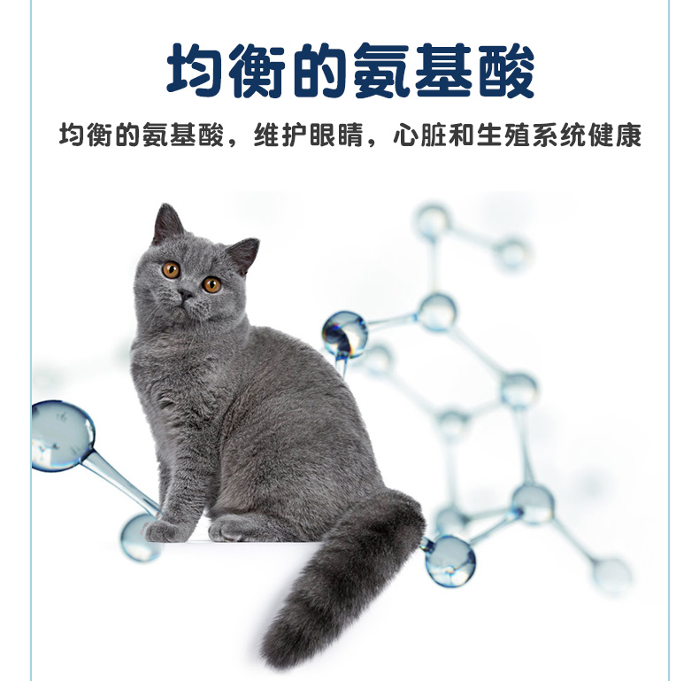 Mua 1 tặng 1 thức ăn cho mèo vui vẻ miễn phí thức ăn cho mèo - Cat Staples thức ăn cho mèo mẹ mới đẻ