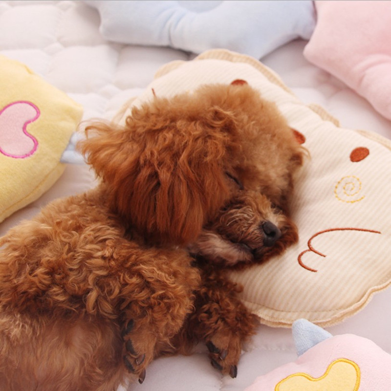 Pets Dogs Special Sleeping Little Pillows Teddy Puppies Kokie Fou Minidog Beauties Pussycat Bibear Supplies