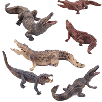 Solid simulation Nile crocodile Chinese alligator wild boar crocodile alligator animal toy Emperor alligator children crocodile model toy