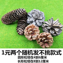Wild true Pine Tree Tower deciduous black pine Tower indoor pendants air-dried pine tower set animal toy model Joker