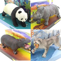 Mollusk simulation animal toy wolf Arctic panda saber-toothed tiger mammoth elephant crocodile hippo childrens model gift box