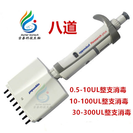 10-100ul整只消毒Eppendorf plus 艾本德八道移液器8道八排移液器