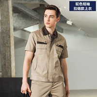 13 верблюдов (вершины)