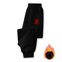 Флисовые штаны