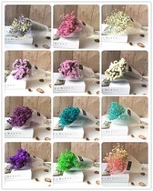 Dried Flowers Starry Dried Flowers Bouquet Flowers Living Room Decoration Flower Arrangement Lavender Forget-me-not