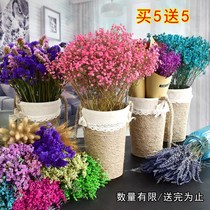 Starry dried flowers small bouquet Home furnishings living room net red ins decoration flower arrangement ornaments Lavender