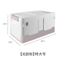 Необыкновенный скандинавский фанат