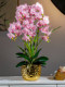 High-End Realistic Artificial Phalaenopsis Orchid Fake Flower Bionic Plastic Flower Arrangement Potted Plant Ornament Living Room Decoration