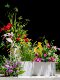 Large-Scale Simulated Flower Arrangements, Green Plants, Grass Piles, High-End Shopping Malls, Hotels, Wedding Landscapes, Decorative Scenery and Furnishings