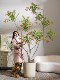 Artificial Nandina Bamboo High-End Light Luxury Indoor Floor-Standing Decorative Ornaments Fake Tree Large Artificial Green Plant Fake Flower Tree Plant