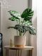 Artificial Monstera Bonsai Fake Tree Potted Plant Indoor Living Room Shop Landscaping Biomimetic Green Plant Decoration Ornament
