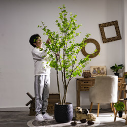 High-End Artificial Tree Japanese Bellflower and Horse-Dranker Tree Green Plant Potted Plant Artificial Tree Indoor Living Room Decoration Ornament