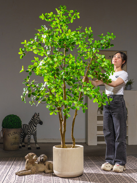 Extra-Large Artificial Money Tree, Simulated Green Plant for Indoor Living Room Decoration, Bionic Plant, Vintage-Style Fortune Tree, Fake Tree