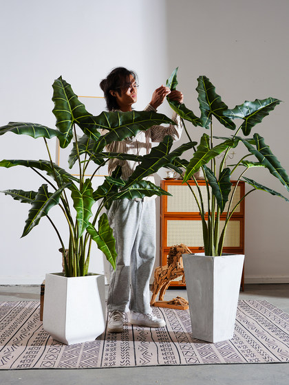 2026 new product Salian Alocasia large simulated artificial tree decoration green plant bionic plant indoor living room landscaping ornaments