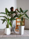 2026 new product Salian Alocasia large simulated artificial tree decoration green plant bionic plant indoor living room landscaping ornaments