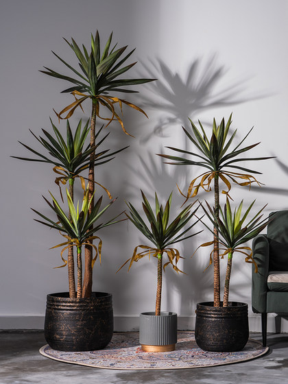 Nordic Artificial Dragon Blood Tree Potted Plant, Succulent Green Plant, Fake Tree for Indoor Living Room, Shop Landscaping, Floor-Standing Decorative Ornament