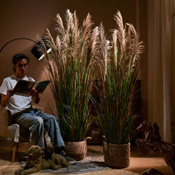 Imported Dried Flowers, Real Flowers, Air-Dried Natural Reed Grass, Artificial Fake Flower Bouquets, Fake Trees, Green Plants, Plant Decorations, Floor-Standing Ornaments