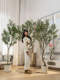 Olive Tree Artificial Green Plant High-End Light Luxury Indoor Living Room Decoration Floor-Standing Ornament Bionic Plant Large Fake Tree