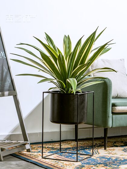 High-End Realistic Dragon Blood Tree Agave Artificial Tree Green Plant Potted Indoor Living Room Landscaping Decoration Ornament