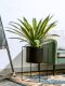 High-End Realistic Dragon Blood Tree Agave Artificial Tree Green Plant Potted Indoor Living Room Landscaping Decoration Ornament