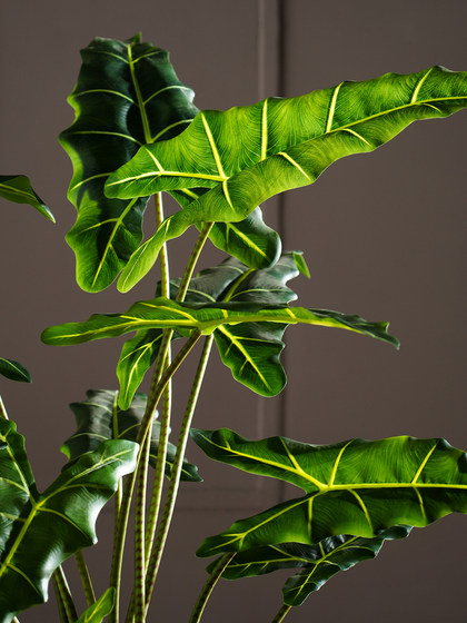 2026 new product Salian Alocasia large simulated artificial tree decoration green plant bionic plant indoor living room landscaping ornaments