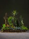 Internet-Famous Combination of Artificial Trees, Green Plants, Fake Trees, Floor-Standing Bionic Potted Plants, Indoor Window Display, Staircase Landscaping Decoration
