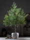 Simulated Green Plant Olive Tree Artificial Tree Large Indoor Living Room Hotel Lobby Floor-Standing Potted Plant Artificial Plant Landscaping