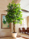 Artificial Green Plant Climbing Banyan Tree Fake Tree Bionic Plant Happiness Tree Indoor Living Room Floor-Standing Potted Plant Landscape Decoration