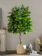 Artificial Green Plant Climbing Banyan Tree Fake Tree Happiness Tree Artificial Plant Living Room Interior Decoration Artificial Tree Floor-Standing Ornament