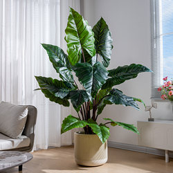 Artificial Green Plants Indoor Potted Calla Lilies, Artificial Plants, Fake Trees, Living Room Floor-Standing Sofa Corner Decoration