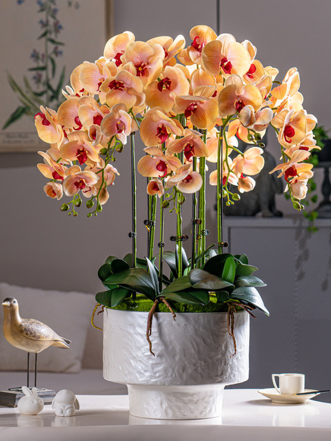 Large Pot of High-End, Realistic-Feeling, Moisturizing Phalaenopsis Artificial Flowers, Plastic Dried Flowers, Fake Floral Arrangements, Indoor Living Room Decorations