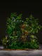 Internet-Famous Combination of Artificial Trees, Green Plants, Fake Trees, Floor-Standing Bionic Potted Plants, Indoor Window Display, Staircase Landscaping Decoration