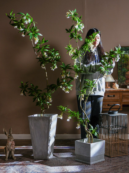 Exquisite Artificial Water Stone Banyan Tree, Fake Plant, Fake Flower Tree, Green Plant, Indoor Living Room Landscaping, Floor-Standing Decorative Ornament