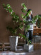 Exquisite Artificial Water Stone Banyan Tree, Fake Plant, Fake Flower Tree, Green Plant, Indoor Living Room Landscaping, Floor-Standing Decorative Ornament
