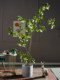 Exquisite Artificial Water Stone Banyan Tree, Fake Plant, Fake Flower Tree, Green Plant, Indoor Living Room Landscaping, Floor-Standing Decorative Ornament