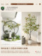 Simulated Green Plants, Artificial Flower Trees, Island Spring Flowers, Bionic Plants, Indoor Living Room Floor-Standing Ornaments, Potted Plants, Window Landscaping
