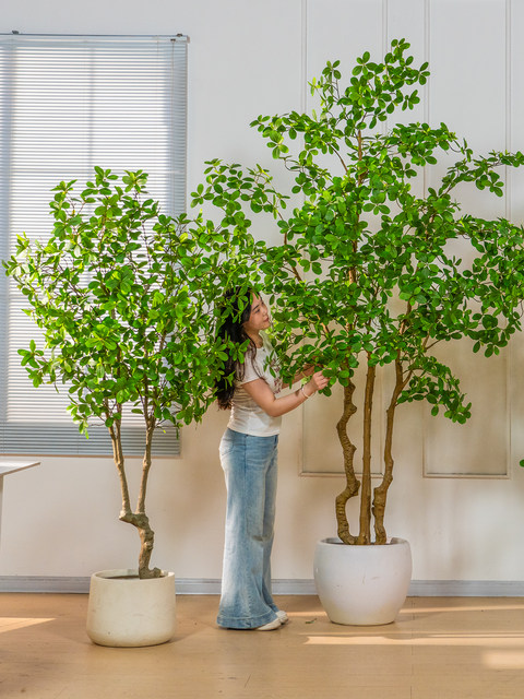 High-End Artificial Green Plant, Fortune Tree, Fake Tree, Artificial Money Tree, Fake Potted Plant, Living Room Indoor Floor-Standing Decorative Ornament