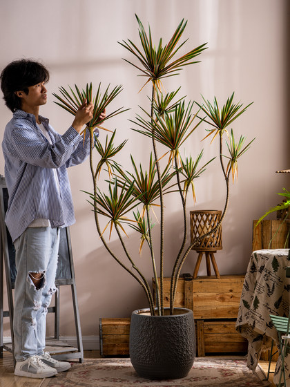 Large Artificial Millennium Tree, Dragon's Blood Tree, Green Plant, Fake Tree, Indoor Living Room Window Display Decoration, Bionic Potted Plant