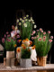 High-End Sunflower Artificial Flower Reed Grass Fake Flower Tree Bionic Fake Tree Green Plant Decoration Indoor Decoration Ornaments