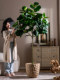 Ficus Lyrata Artificial Green Plant, High-End Light Luxury Fake Tree, Bionic Green Plant for Indoor Living Room, Shop Landscaping, Floor-Standing Decoration