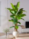 Extra-Large Artificial Banana Tree Plant for Living Room, High-End Bionic Green Plant, Fake Tree for Indoor Landscaping Decoration, Floor-Standing Ornament