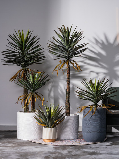 Nordic Artificial Dragon Blood Tree Potted Plant, Succulent Green Plant, Fake Tree for Indoor Living Room, Shop Landscaping, Floor-Standing Decorative Ornament