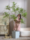 Artificial Nandina Bamboo High-End Light Luxury Indoor Floor-Standing Decorative Ornaments Fake Tree Large Artificial Green Plant Fake Flower Tree Plant