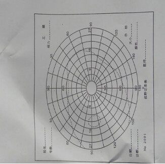 视野图纸，视野计图纸，动物实验 左右眼各50张